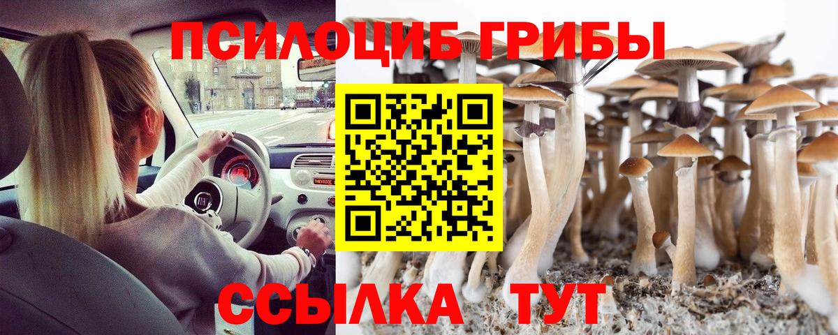 Псилоцибиновые грибы мицелий Юрга