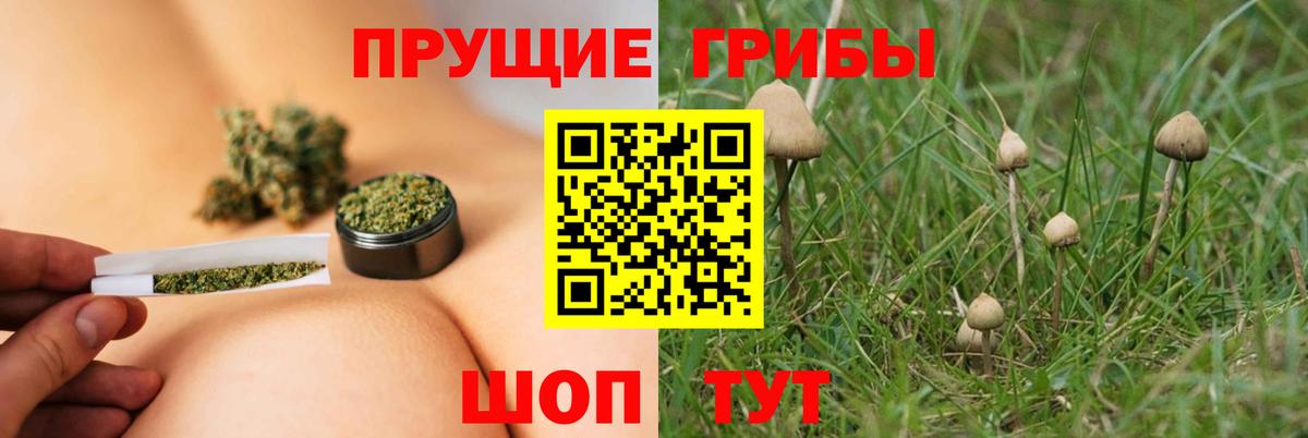 Галлюциногенные грибы мухоморы  Вход с VPN  Юрга 